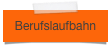 Berufslaufbahn